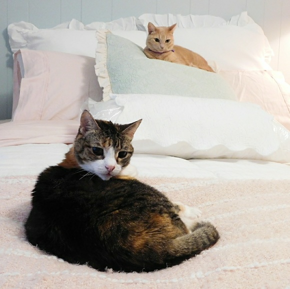 💖BUNDLE & SAVE....💖💖 - Picture 2 of 8